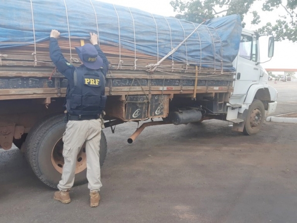 Operação Guardiões do Bioma realiza apreensão de madeira ilegal e resgate de animais silvestres no sul do Maranhão