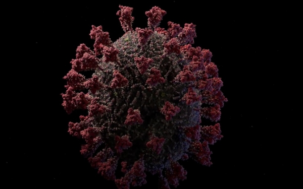 Março já tem o maior número de mortes por Covid-19 desde agosto no Maranhão