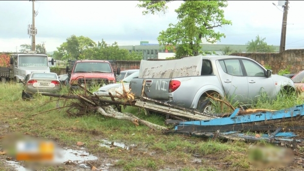PRF faz leilão virtual com 500 veículos e planeja outro para o ano que vem, no Maranhão