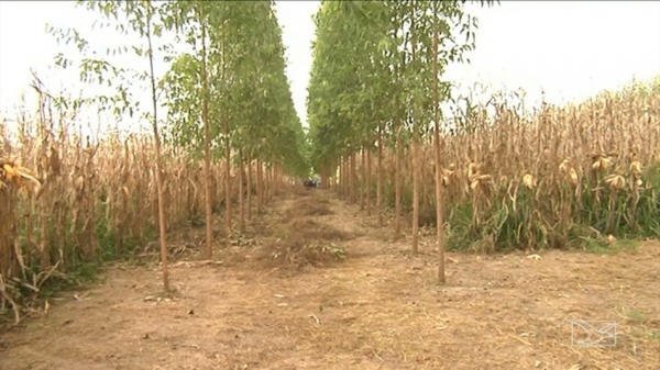 Incra realiza processo de titulação de assentamentos no Maranhão