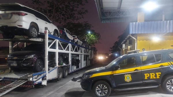 IMPERATRIZ/MA: PRF E RECEITA FEDERAL APREENDEM 22 KG DE SKUNK ENCONTRADOS EM UM CAMINHÃO-CEGONHA NA BR-010