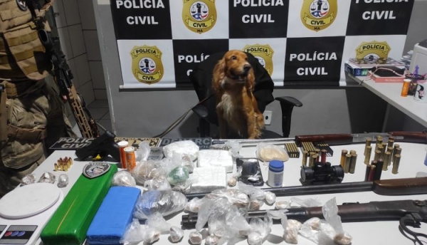  POLÍCIA CIVIL DEFLAGRA MEGAOPERAÇÃO DE REPRESSÃO AO TRÁFICO DE DROGAS EM PARNARAMA; SETE PESSOAS FORAM PRESAS, ALÉM DE DROGAS E ARMAS APREENDIDAS