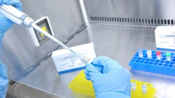 Maranhão confirma 30 mortes em 24h e chega a 634 óbitos por Covid-19, diz SES