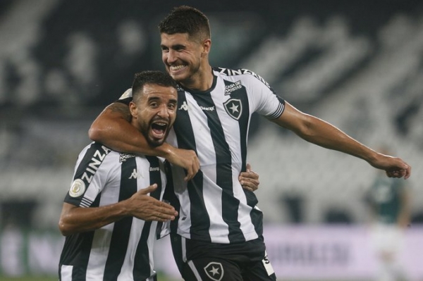 Botafogo bate o Palmeiras, quebra invencibilidade do adversário e volta a vencer após 10 jogos no Brasileirão