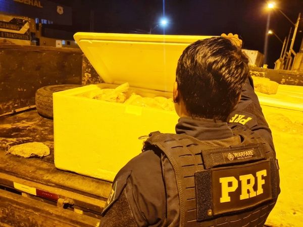 PRF apreende 400kg de frango transportado ilegalmente na BR-010