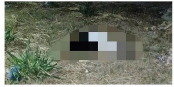 Mulher é morta a facadas no interior do Maranhão; corpo foi encontrado em terreno baldio