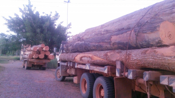 Equipa da Polícia Federal em ação conjunta com a PM de Açailândia apreende dois caminhões carregados com madeira da Reserva Biológica do Gurupi.