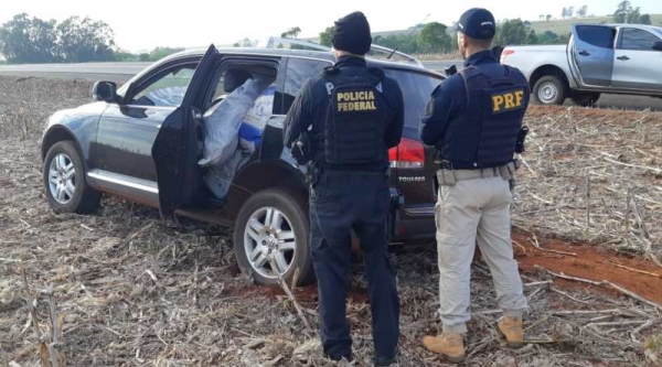 Forças de segurança apreendem meia tonelada de agrotóxicos na fronteira