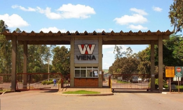 AÇAILÂNDIA- Aneel libera operação comercial de termelétrica da Viena 