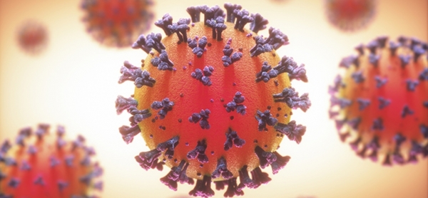 Maranhão chega a 337.999 casos e 9.669 óbitos por Covid-19