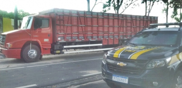 BR-135: PRF prende homem por porte ilegal de arma de fogo