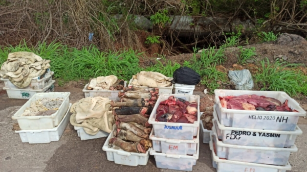 PRF APREENDE CARGA DE CARNE EM PÉSSIMAS CONDIÇÕES NA BR-135, EM SÃO LUÍS/MA
