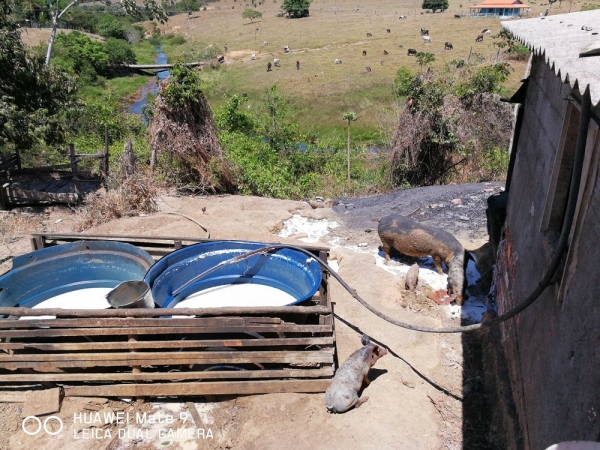 MARANHÃO - Aged interdita estabelecimentos clandestinos em Açailândia e Cidelândia