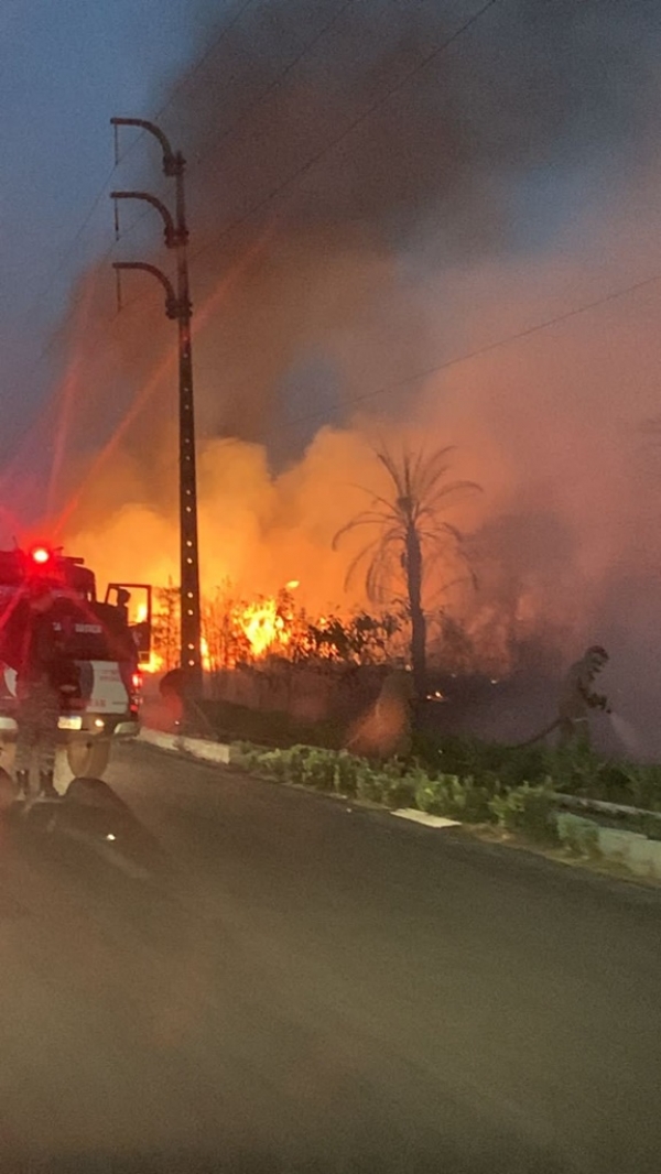 FOGO NAS MARGENS DA BR-010 DEIXA TRÂNSITO MAIS PERIGOSO EM IMPERATRIZ