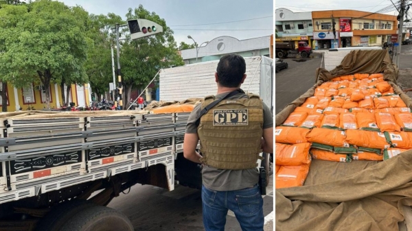 CARGA DE SEMENTES FALSIFICADAS É APREENDIDA EM CAXIAS