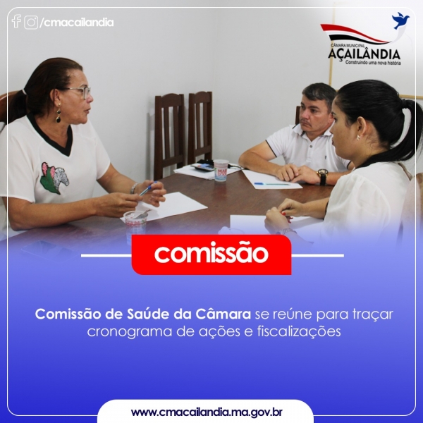 Comissão de Saúde da Câmara se reúne para traçar cronograma de ações e fiscalizações