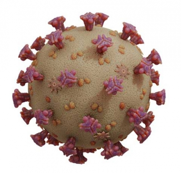 Com mais de 1,2 mil registros novos no interior, Maranhão chega a 72 mil casos confirmados de Covid-19