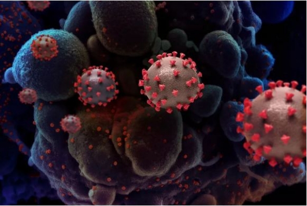 Maranhão chega a 415.189 casos e 10.834 mortes por Covid-19