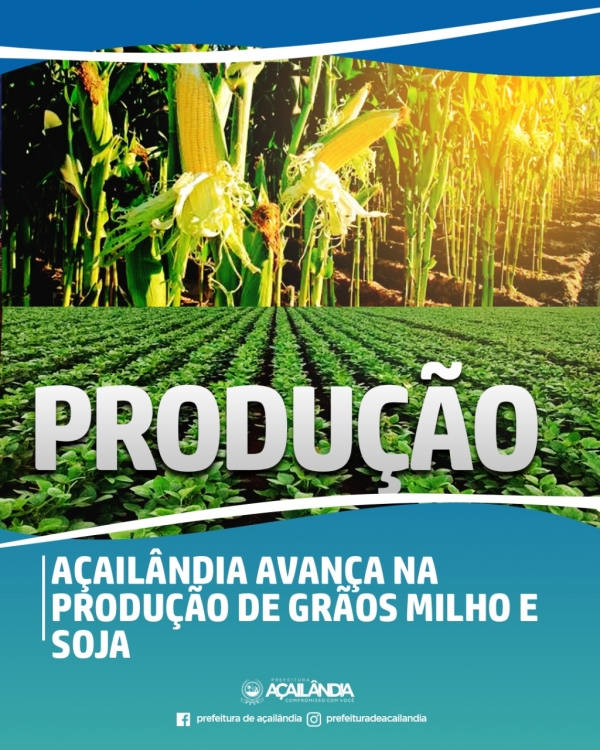 Açailândia avança na produção de grãos milho e soja  