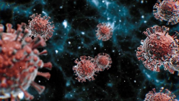 Maranhão chega a 201.945 casos, com 4562 mortes pela Covid-19