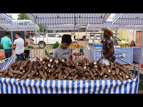 AÇAILÂNDIA - Feira da agricultura familiar 