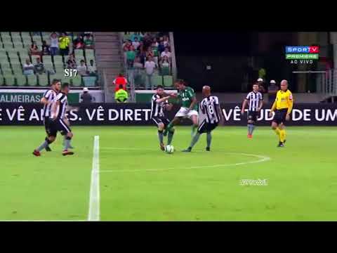 Na despedida de Zé Roberto, Palmeiras bate Botafogo com direito a golaço de Keno