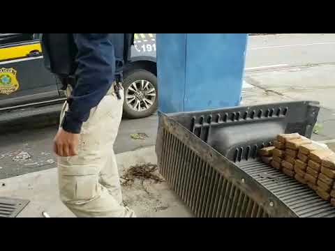 PRF apreende na BR 135/MA skunk, droga conhecida como 'supermaconha', e cloridrato de cocaína