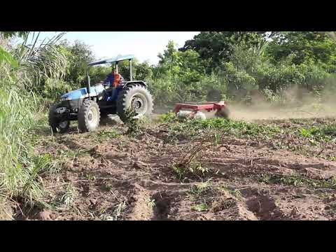 AÇAILÂNDIA – Prefeitura realiza preparo da terra no perímetro urbano e agricultores agradecem  