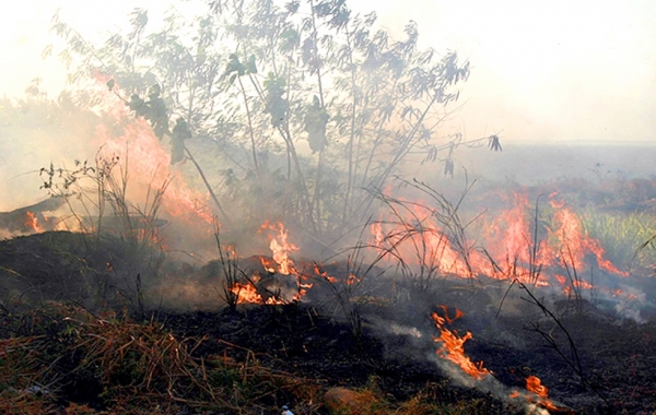 Maranhão é 4º no ranking de estados com maior número de queimadas