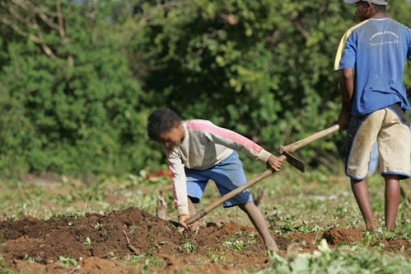 Tempo de trabalho infantil vale para aposentadoria, decide STJ
