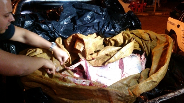 AÇAILÂNDIA - Polícia Civil prende em flagrantes três pessoas e apreende um menor distribuindo carne de boi abatida na moita que seria vendido em açougue da cidade.