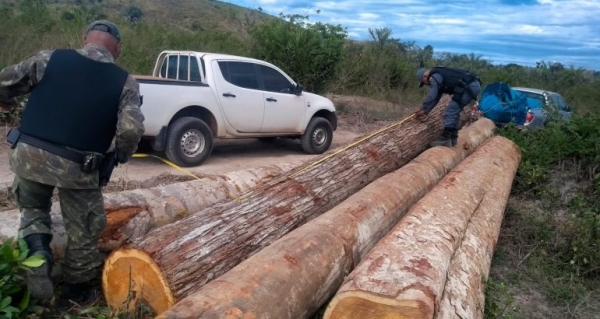 MARANHÃO - Batalhão Ambiental e Funai conduzem 6 pessoas com 200m³ de ipês