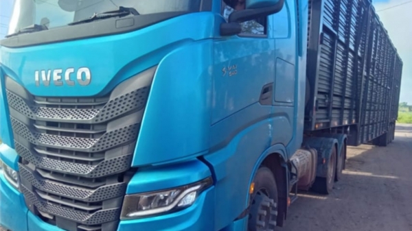 PRF IDENTIFICA TRANSPORTE IRREGULAR DE 101 BEZERROS EM IMPERATRIZ (MA)