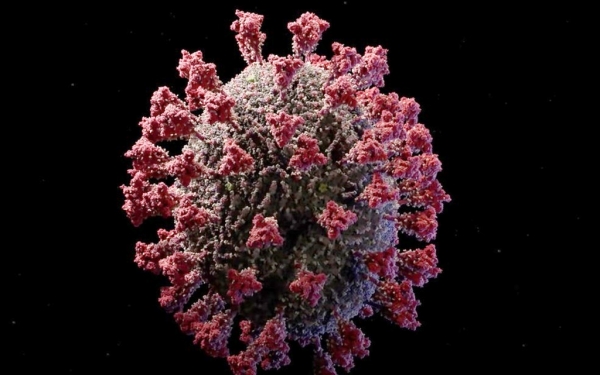 Em um único dia, Maranhão contabiliza 965 novos casos e 35 mortes por Covid-19