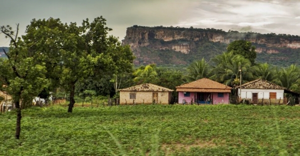 Cadastro Ambiental Rural foi prorrogado e agricultores familiares tem até dezembro de 2019 para se cadastrar