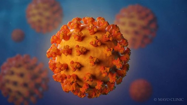 Maranhão tem mais de 134 mil casos confirmados do novo coronavírus