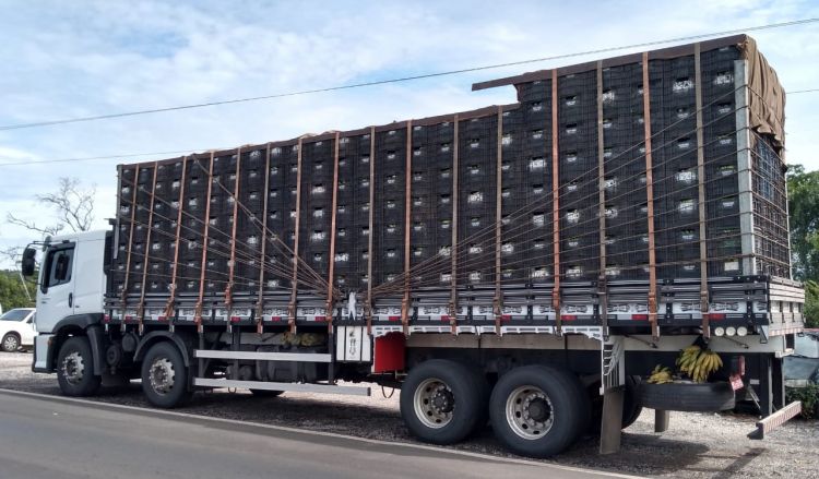 Caminhoneiro é detido após ser flagrado com arrebite na BR-316 no MA