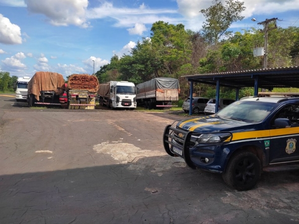 PRF deflagrou operação que apreendeu mais de 300 m³ de madeira ilegal em municípios do Maranhão