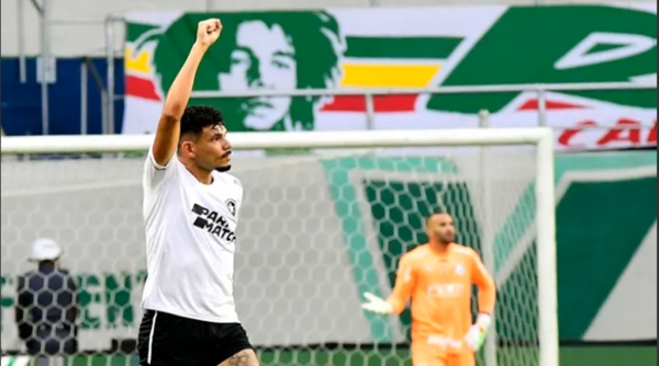 Botafogo vence, dispara na liderança e derruba o Palmeiras na tabela