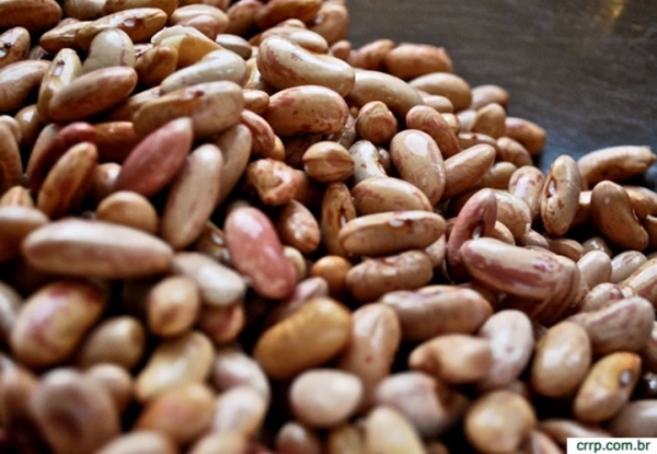 Governo autoriza importação de feijão para reduzir o preço