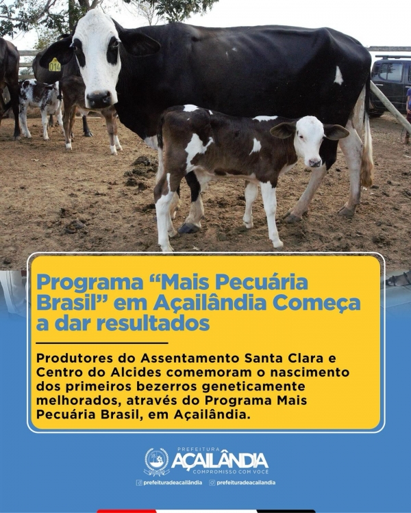 PROGRAMA “MAIS PECUÁRIA BRASIL” EM AÇAILÂNDIA COMEÇA A DAR RESULTADOS