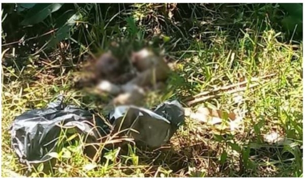 Após prisão dos pais, filha revela ter colocado bebê morto no carro do pai no MA