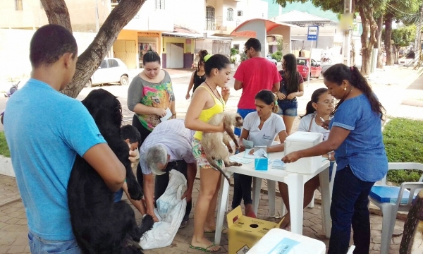 Vacinação contra a raiva animal teve participação em massa da população