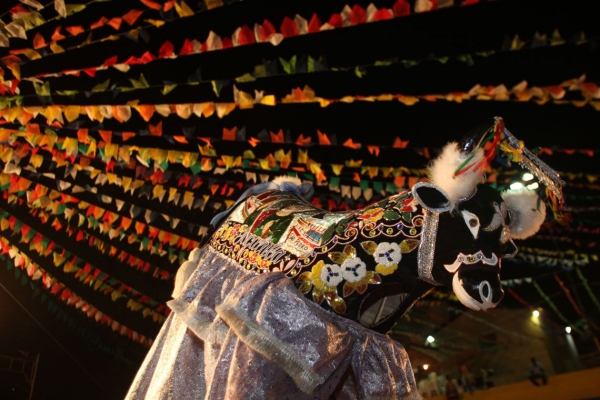 MARANHÃO - Bumba Meu Boi pode se tornar patrimônio imaterial da humanidade