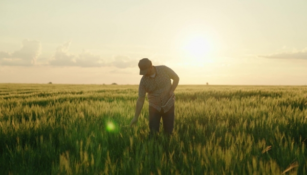 ATUALIZAÇÃO OBRIGATÓRIA DO CADASTRO DE PRODUTOR E DA PROPRIEDADE RURAL COMEÇOU EM AÇAILÂNDIA