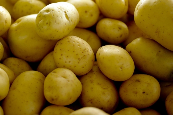 Com alta de 78,83%, batata-inglesa pressiona inflação de Páscoa