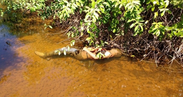 Polícia Civil Prende Homem que Roubou e Matou Mototaxista em São Pedro da Água Branca.