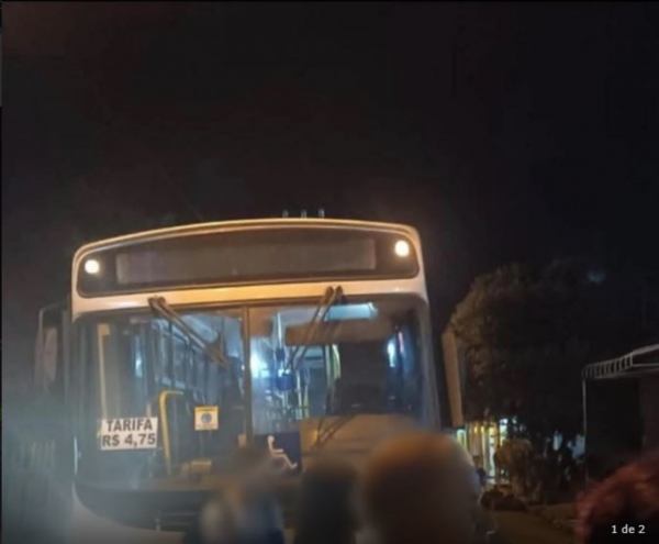 CRIMINOSOS ARMADOS ASSALTAM ÔNIBUS NA BR-010