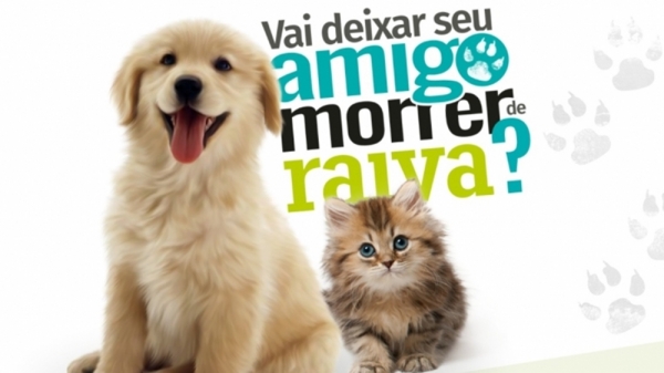 Dia “D” de Vacinação contra a raiva animal acontece no próximo sábado (28/09), em Açailândia