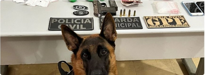 DROGAS, ARMAS E MUNIÇÃO SÃO APREENDIDAS DURANTE OPERAÇÃO POLICIAL EM IMPERATRIZ